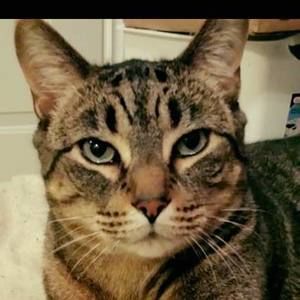 Meet your Posher, Holly